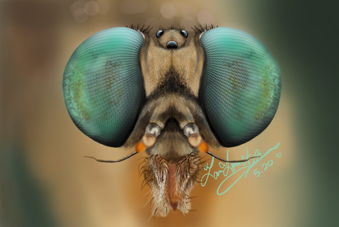 digital painting of a bug